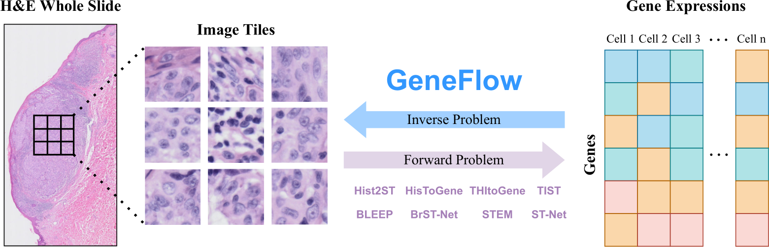GeneFlow diagram
