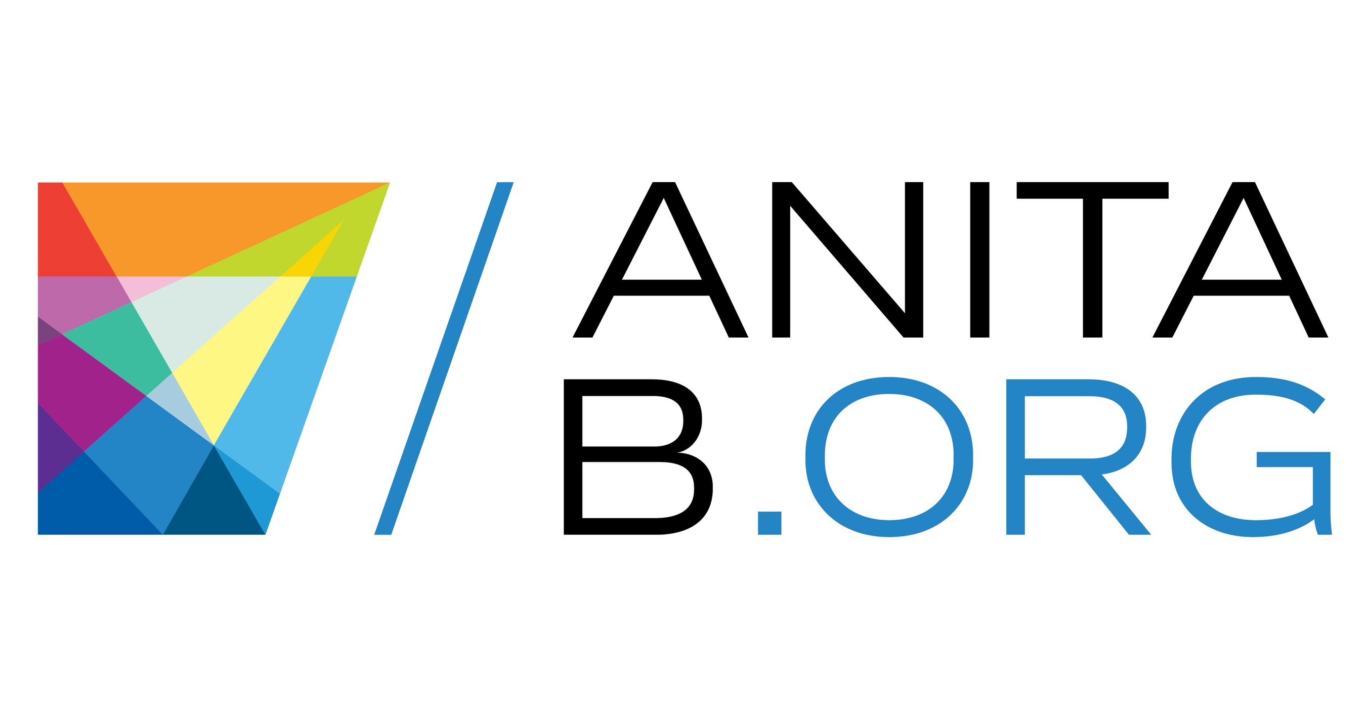 Anita Borg Institute