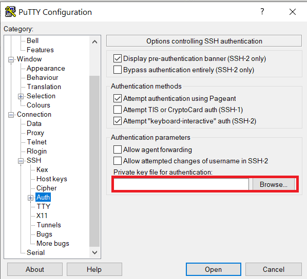 PuTTY Auth panel