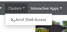 Anvil Shell Access