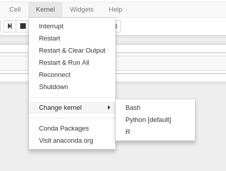 Change kernel button on Jupyter GUI