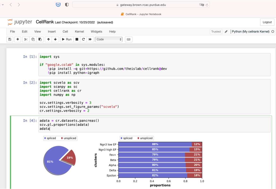 Running scRNAseq analysis with the newly created kernel